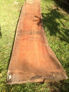 Timber slab for a bar top