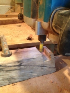 Timber slab selected for a coffee table