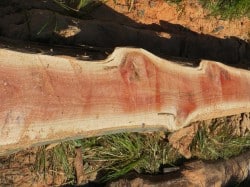 Timber Slab
