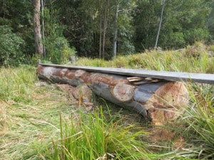 Preparing a log for cutting