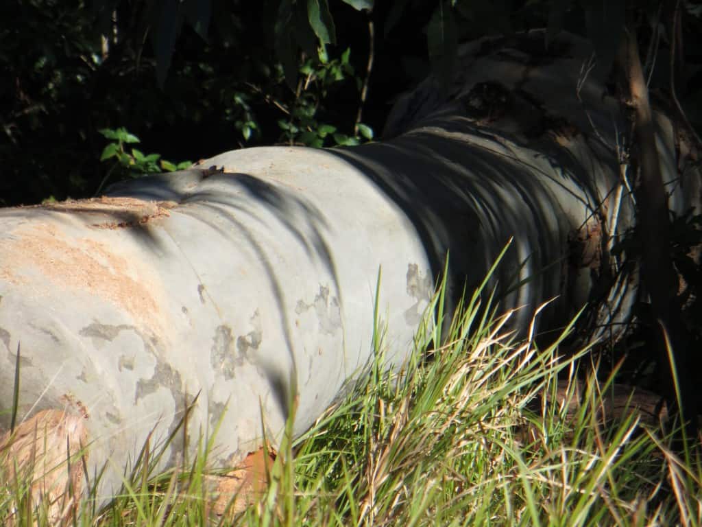 Timber Furniture Sydney