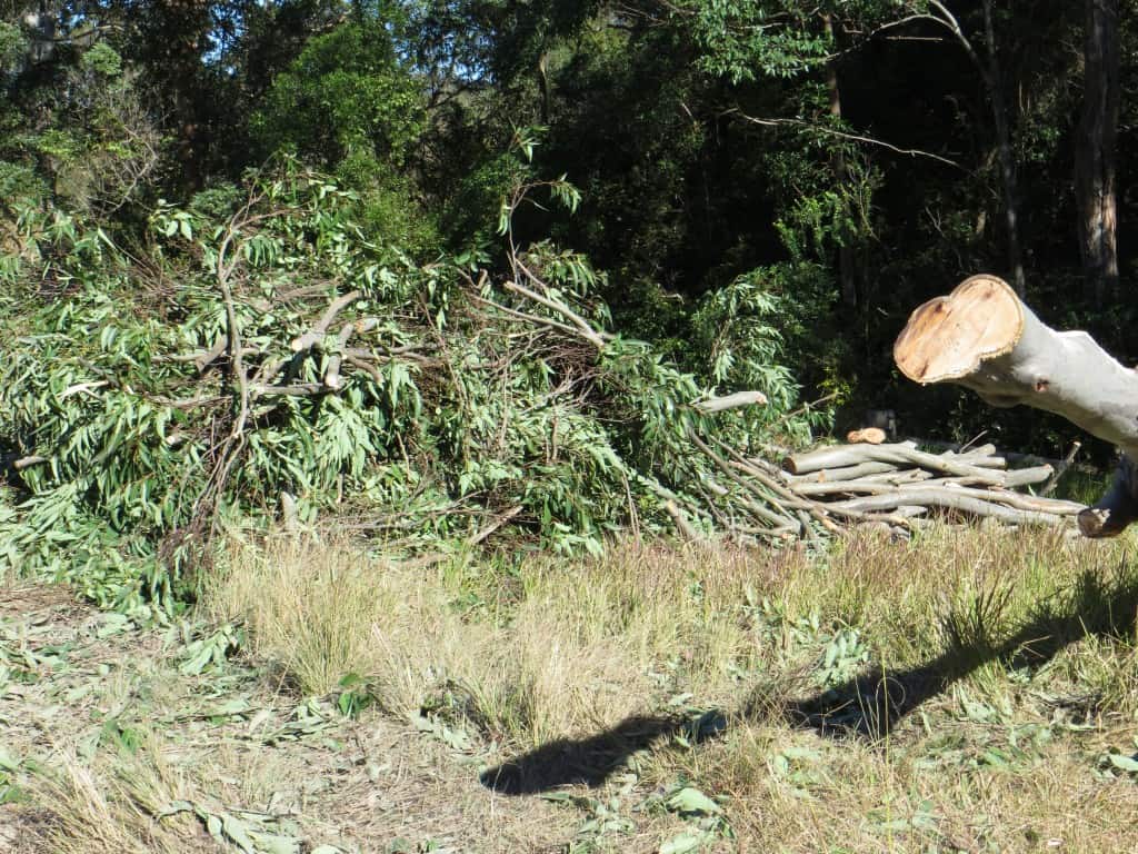 Timber Furniture Sydney