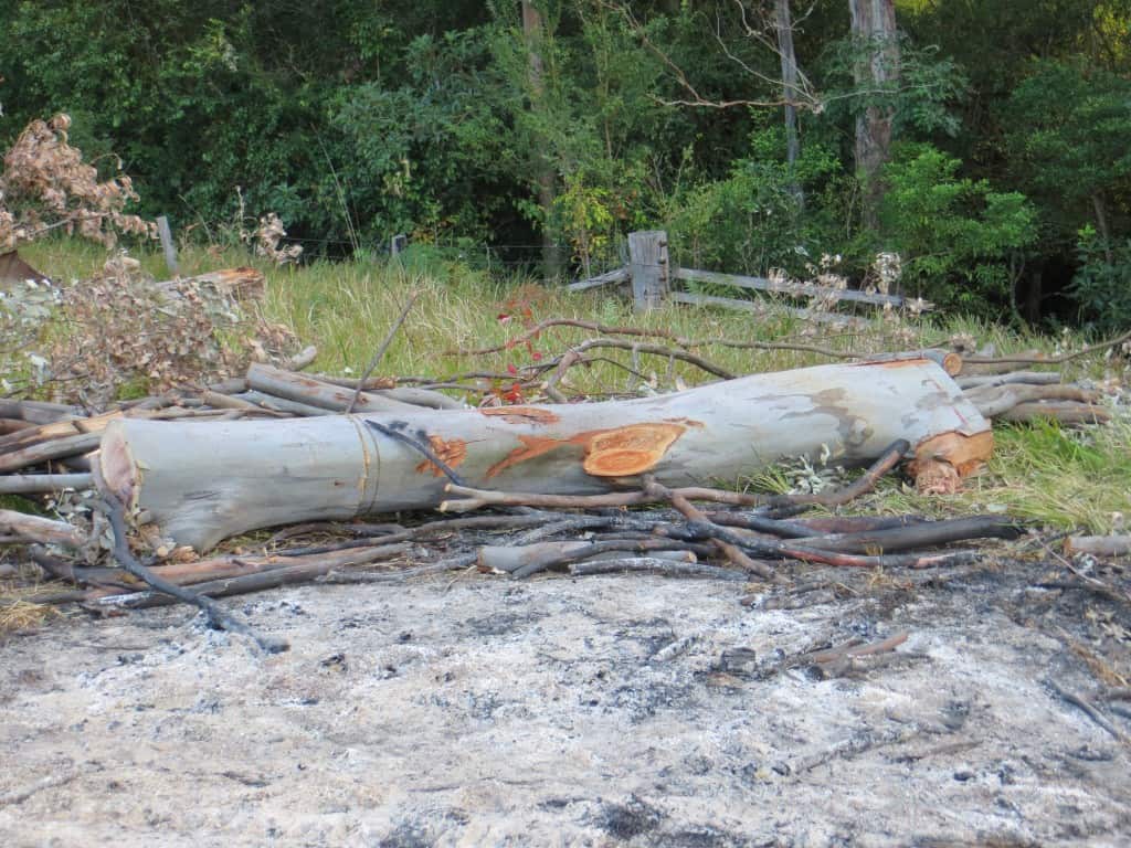 Timber Furniture Sydney