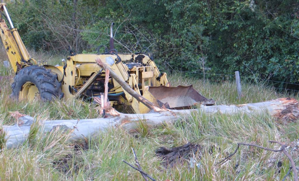 Timber Furniture Sydney
