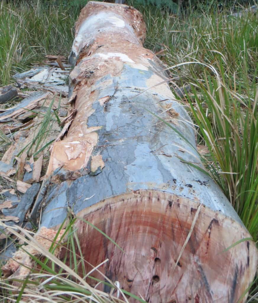 Timber Furniture Sydney