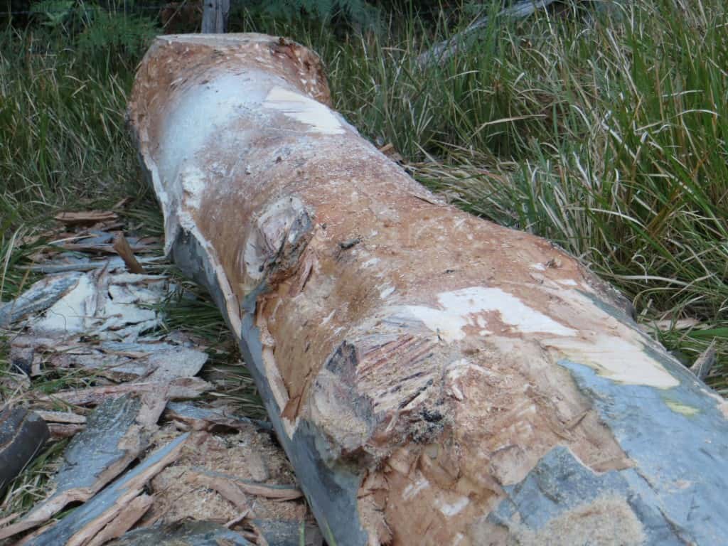 Timber Furniture Sydney