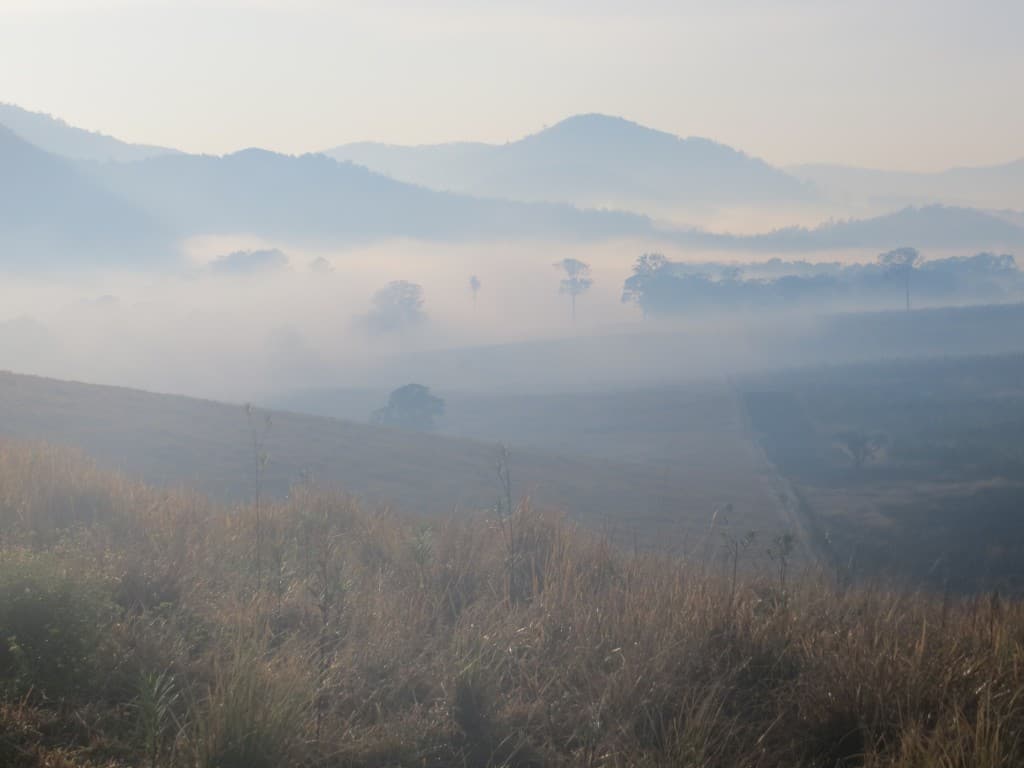 Timber Furniture Sydney