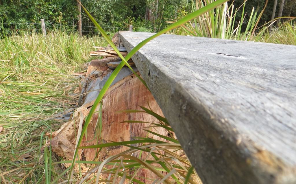 Timber Furniture Sydney