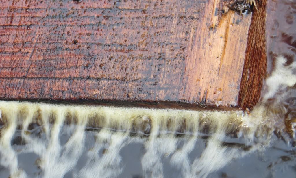 Timber Furniture Sydney