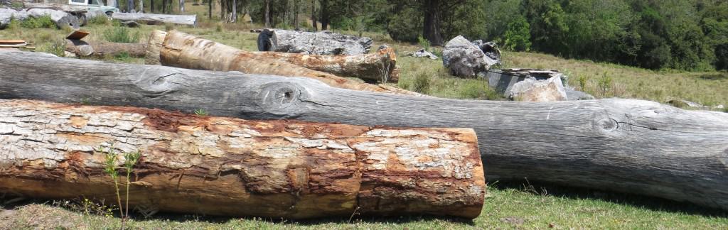 Timber Furniture Sydney