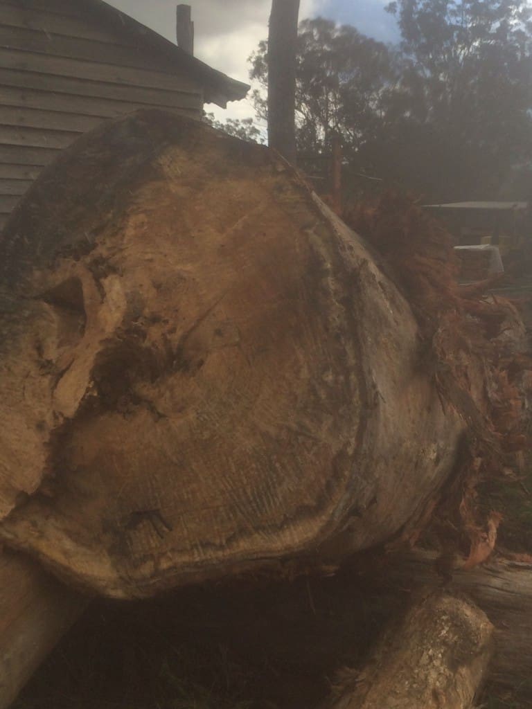 Timber Furniture Sydney