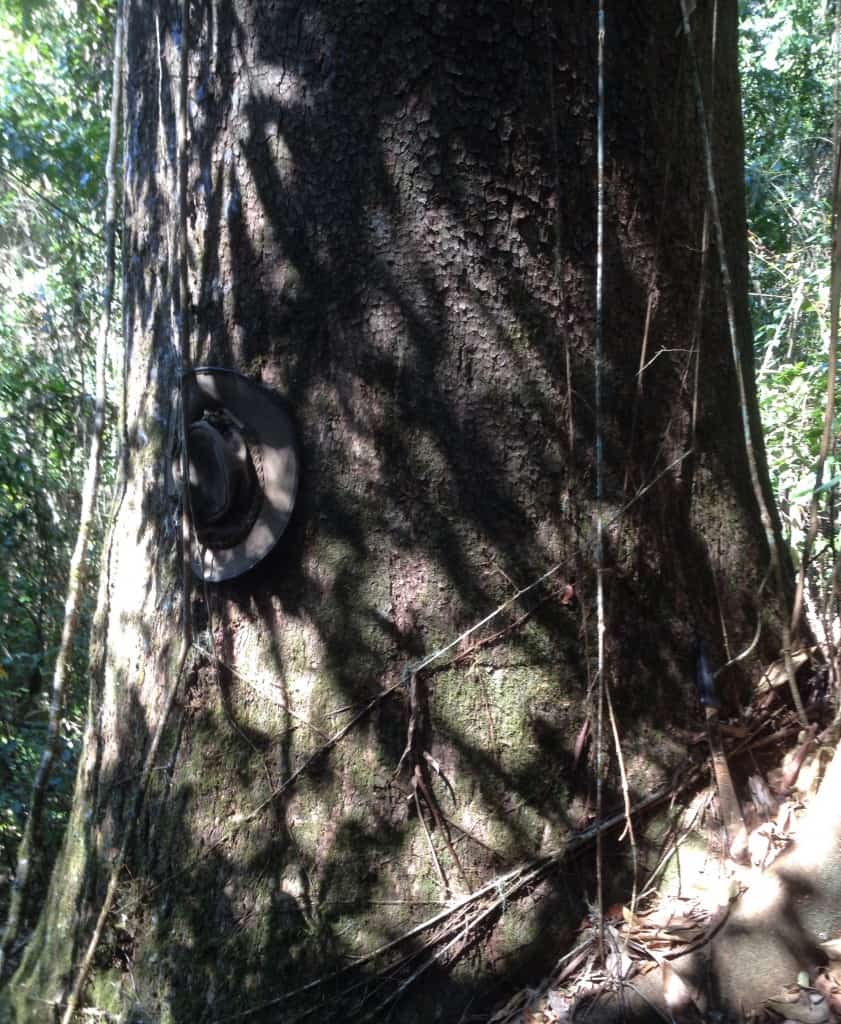 Timber Furniture Sydney