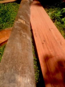 Timber slab bar during construction