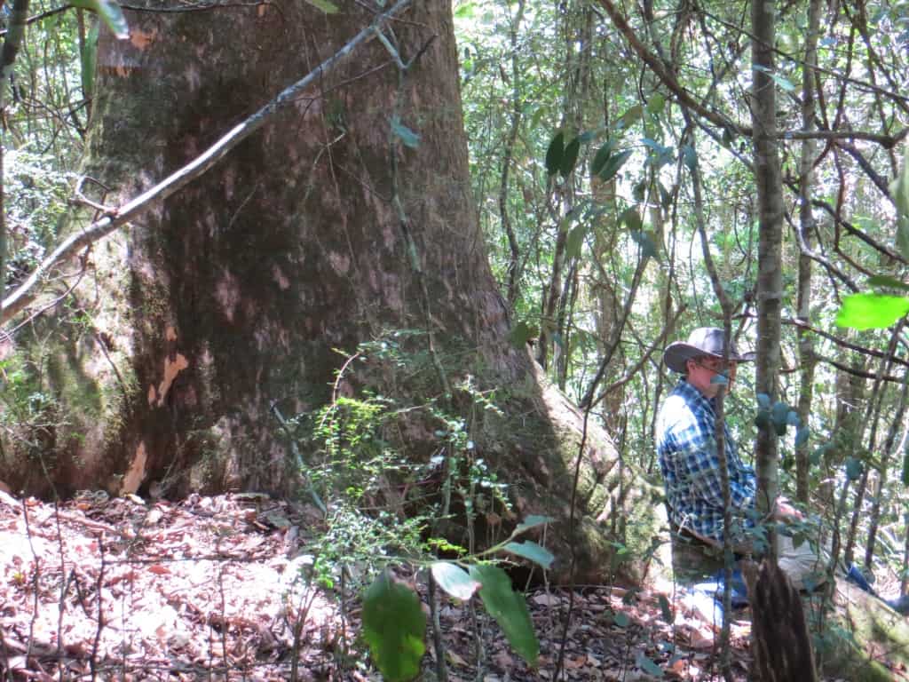 Timber Furniture Sydney