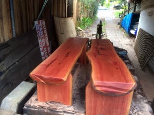 bloodwood bench seat
