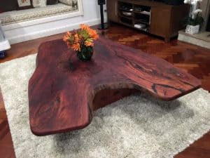 Live edge slab coffee table