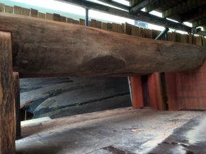 Bloodwood bench seating