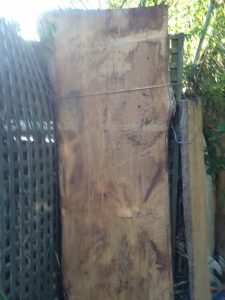 Hardwood slab selected for a kitchen benchtop