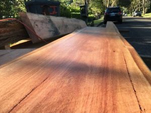Oiled bloodwood slab