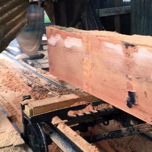 Milling bloodwood slabs