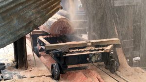 Bloodwood log on the sawmill