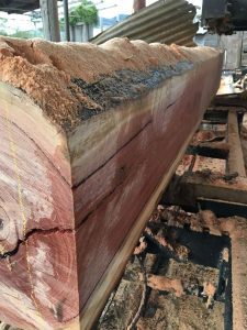 Milling a bloodwood log