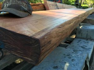 Shaping a natural edge bloodwood slab