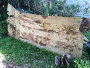 Raw blackbutt timber slab