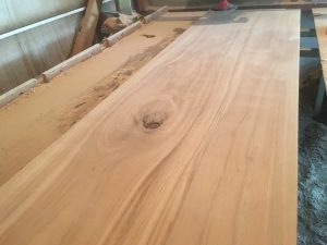 Blackbutt slab grain detail